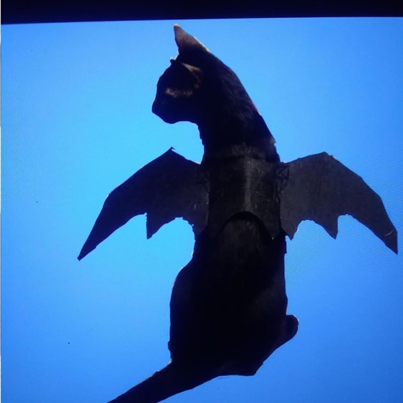 Cat Dog Bat Wings Puppy Kitten Kitty Halloween Vampire Costume ~Host Pick~x2 - Picture 12 of 16
